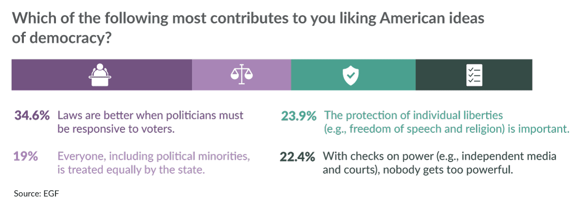 What contributes to your views of American democracy chart